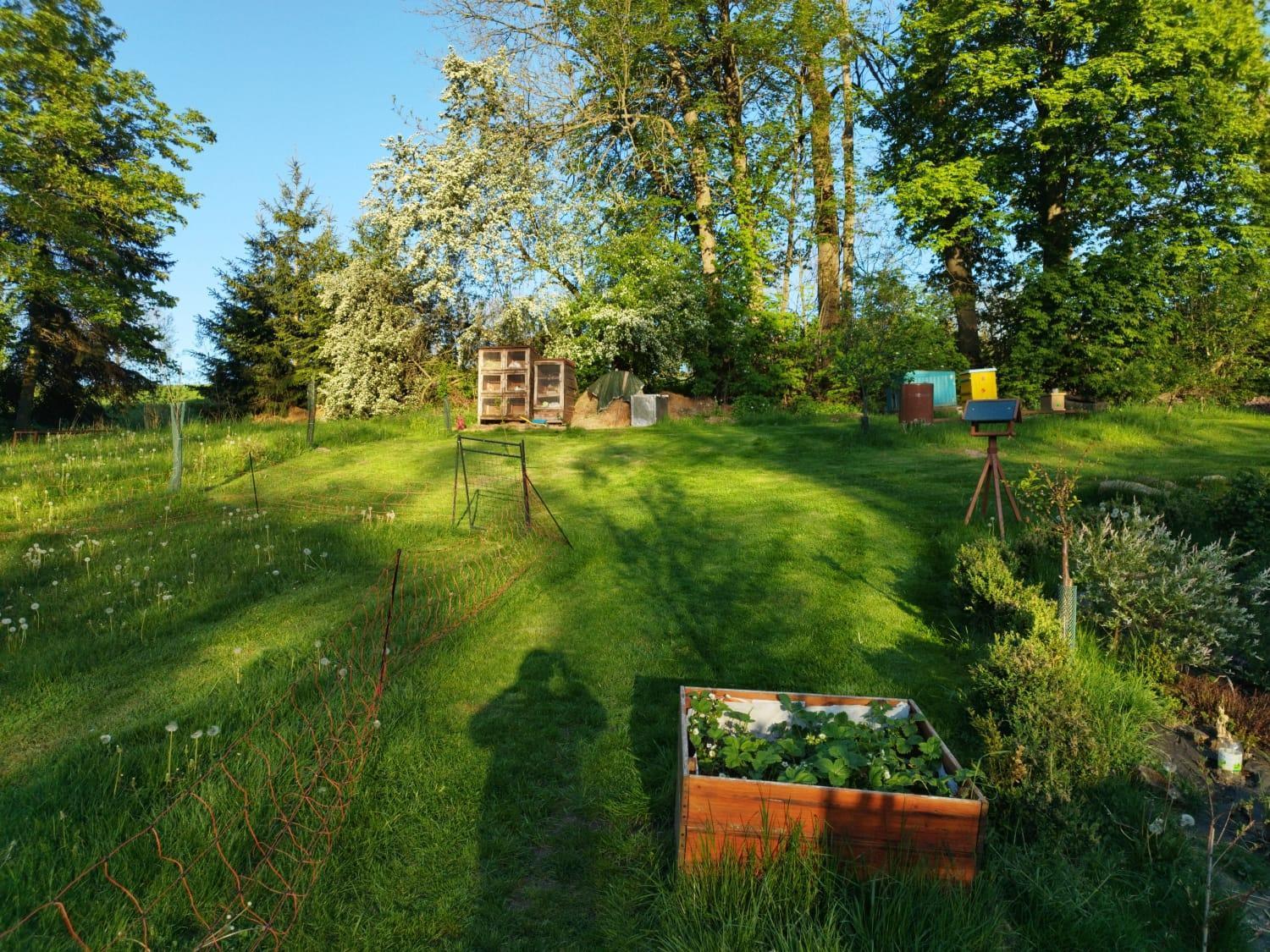 Farma U Lesa Apartment Hlinsko Exterior foto